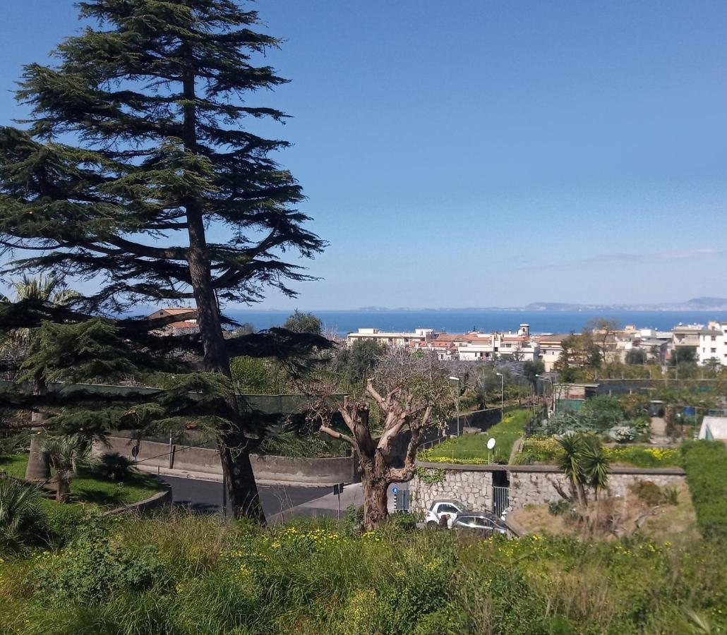 Il Platano Bed & Breakfast Piano di Sorrento Exterior photo